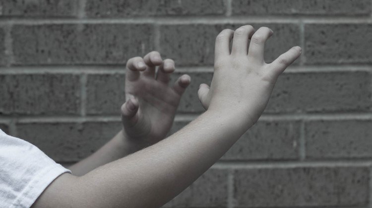 education, photography