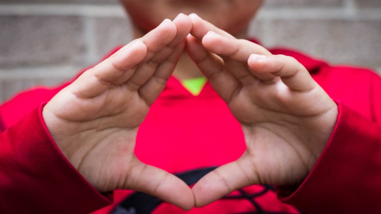 education, photography