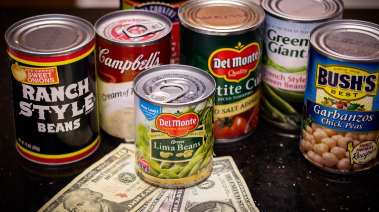 education, photography