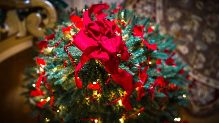 education, photography