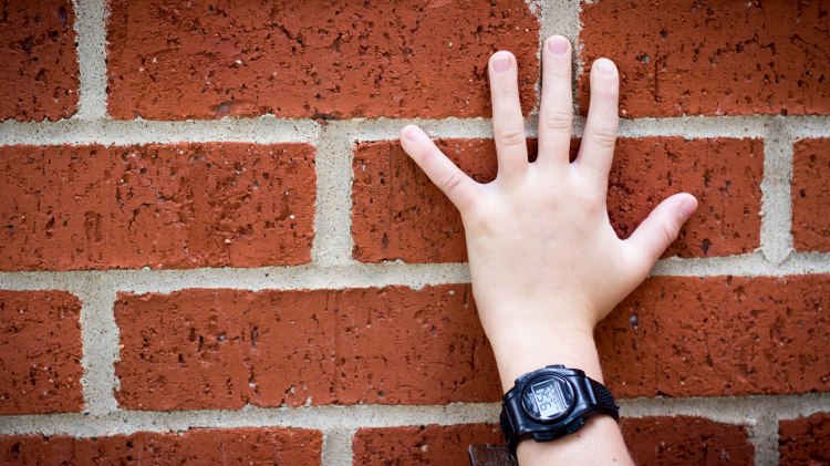 education, photography