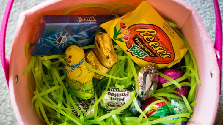 education, photography